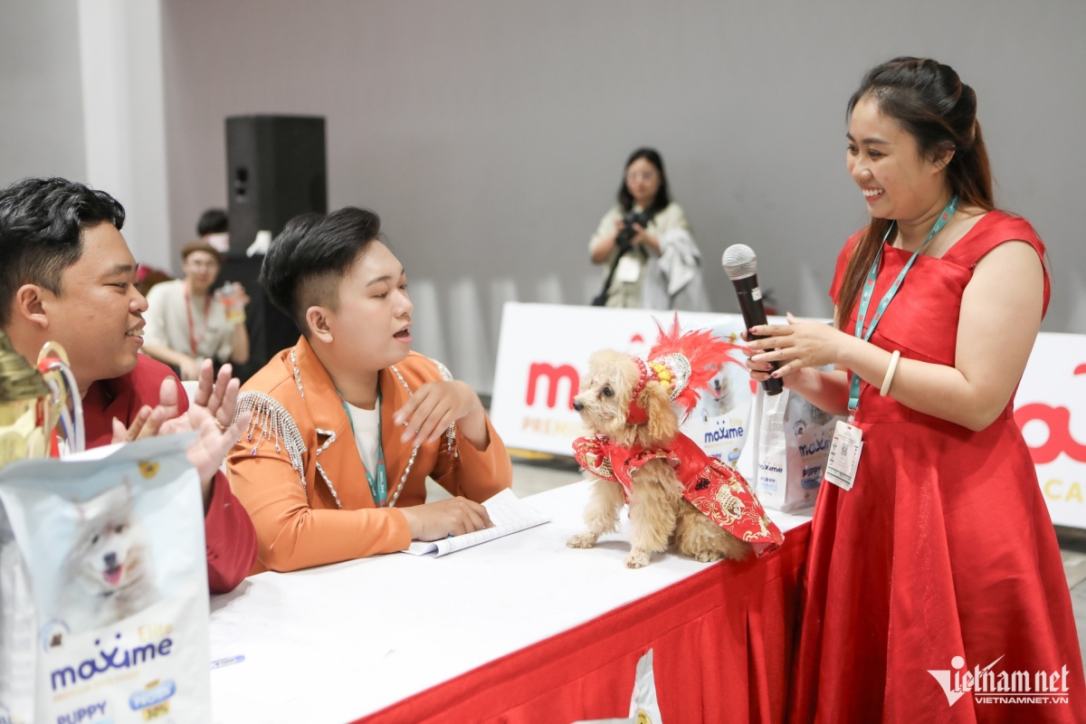 The pet owners must make a presentation to the judging panel about the ideas for the outfits worn by their pets.