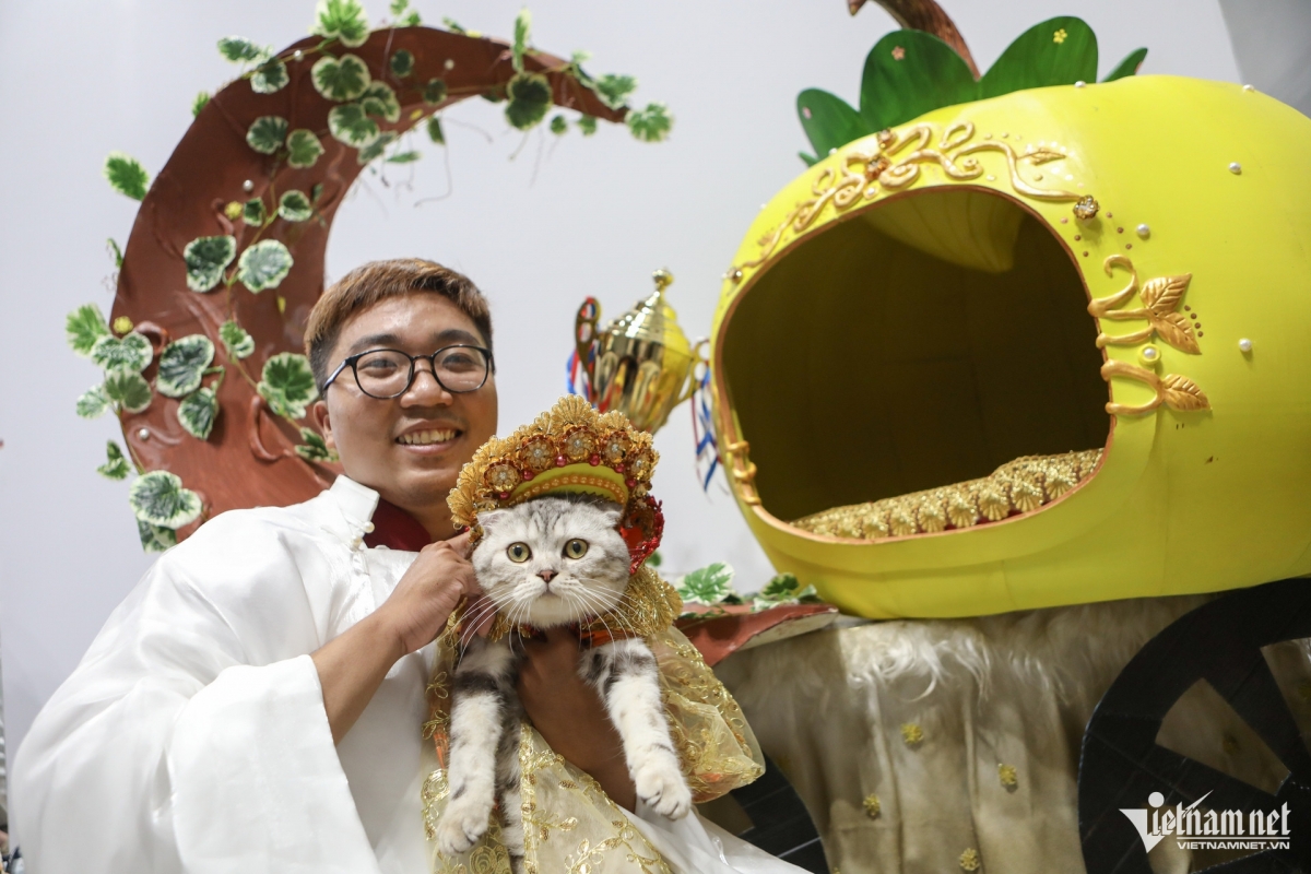 A cat named Bo is transformed into the character Tấm from the fairy tale “Tấm Cám”. The feline goes on to win first prize of the cat fashion contest.