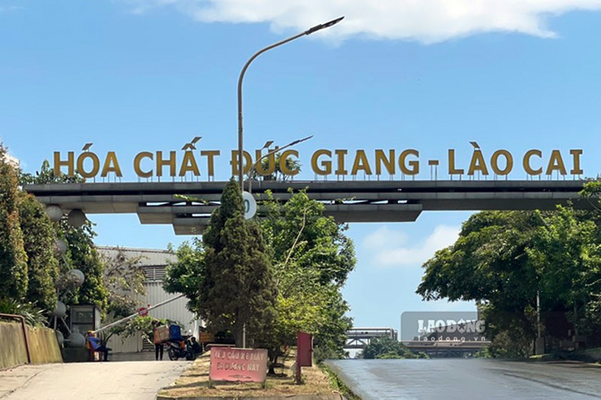Không gian xanh luôn được các DN chú trọng - Ảnh: Báo Lao động