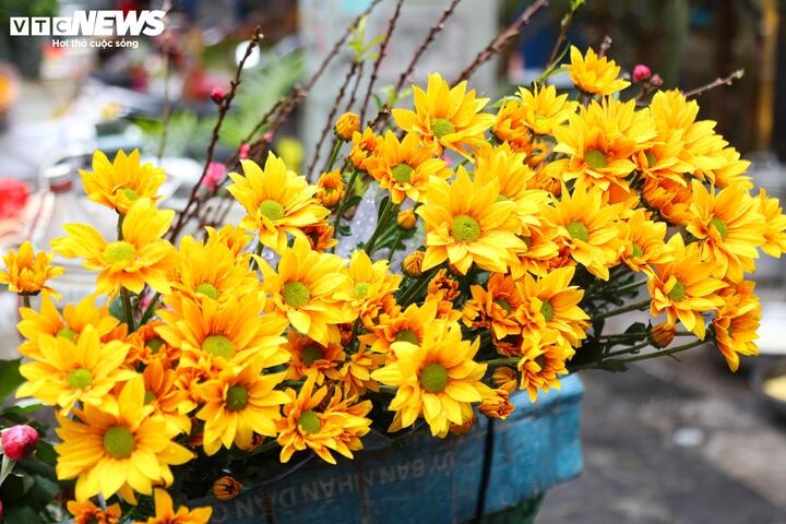Sau những ngày Tết tăng "nóng", giá hoa tươi hôm nay đã giảm mạnh, cụ thể giá hoa hồng thơm chỉ 20.000 - 25.000 đồng/bó, hoa cúc 30.000 đồng/bó, hoa hồng đỏ giá 4.000 - 5.000 đồng/bông, thấp hơn một nửa so với trước Tết.