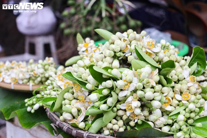 Hoa bưởi đầu mùa được nhiều vị khách lựa chọn để thắp hương trên ban thờ gia tiên, đi lễ chùa hoặc trưng trong nhà, có giá 30.000 đồng/bó.