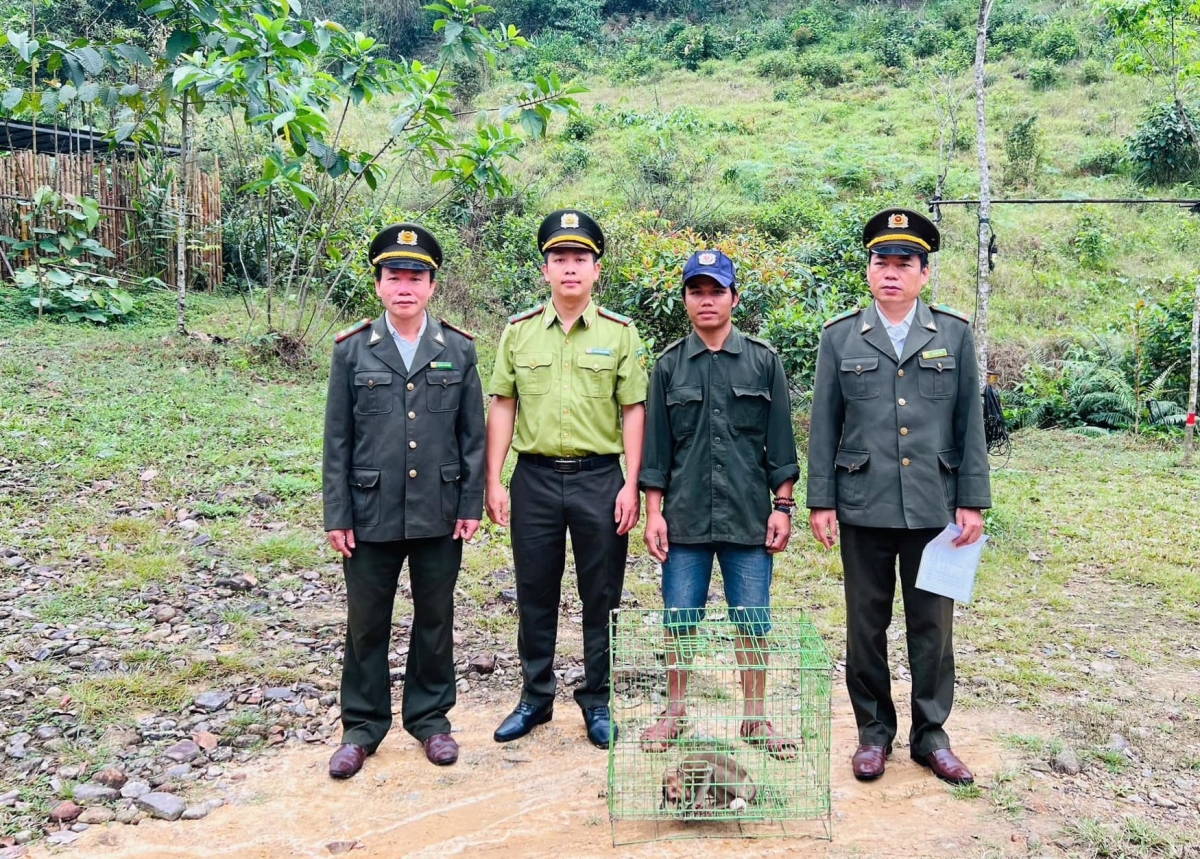 Ông Hồ Văn Kha (thứ 2 bên phải sang) giao nộp cả thể khi mặt đỏ cho Hạt Kiểm lâm huyện Phú Lộc