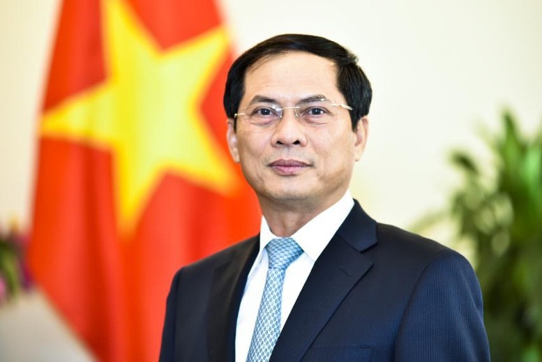 Phó Thủ tướng Chính phủ Bùi Thanh Sơn, ủy viên Ban Thường vụ Đảng ủy Chính phủ