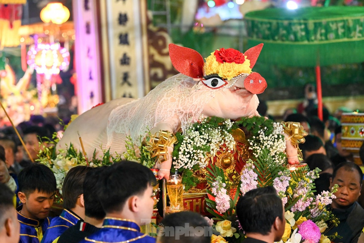 Offerings include a pig, steamed sticky rice, and flowers and fruits displayed on separate palanquins. Most notably, the pig is raised throughout the year and normally weighs between 200kg and 300kg.