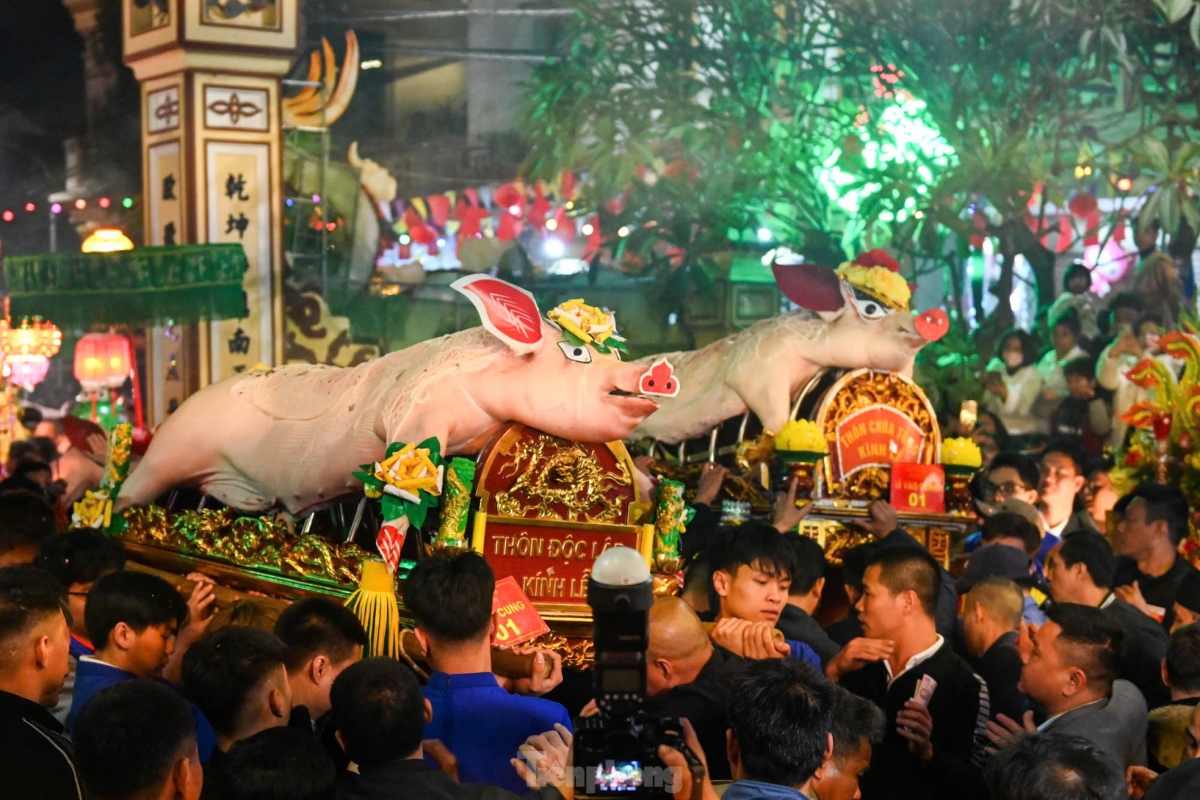The palanquin of the pig is carried by selected young men from the village.