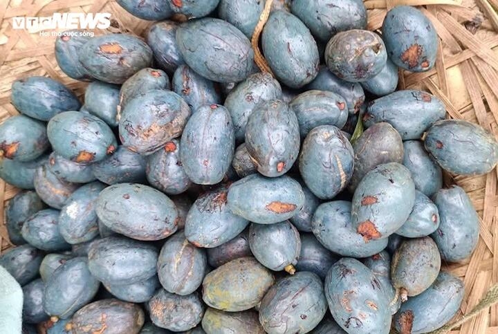 Quả cọ chín sẽ có màu tím đen. Sau khi được chế biến đúng cách sẽ lộ ra lớp cùi mềm, vàng óng, béo ngậy.
