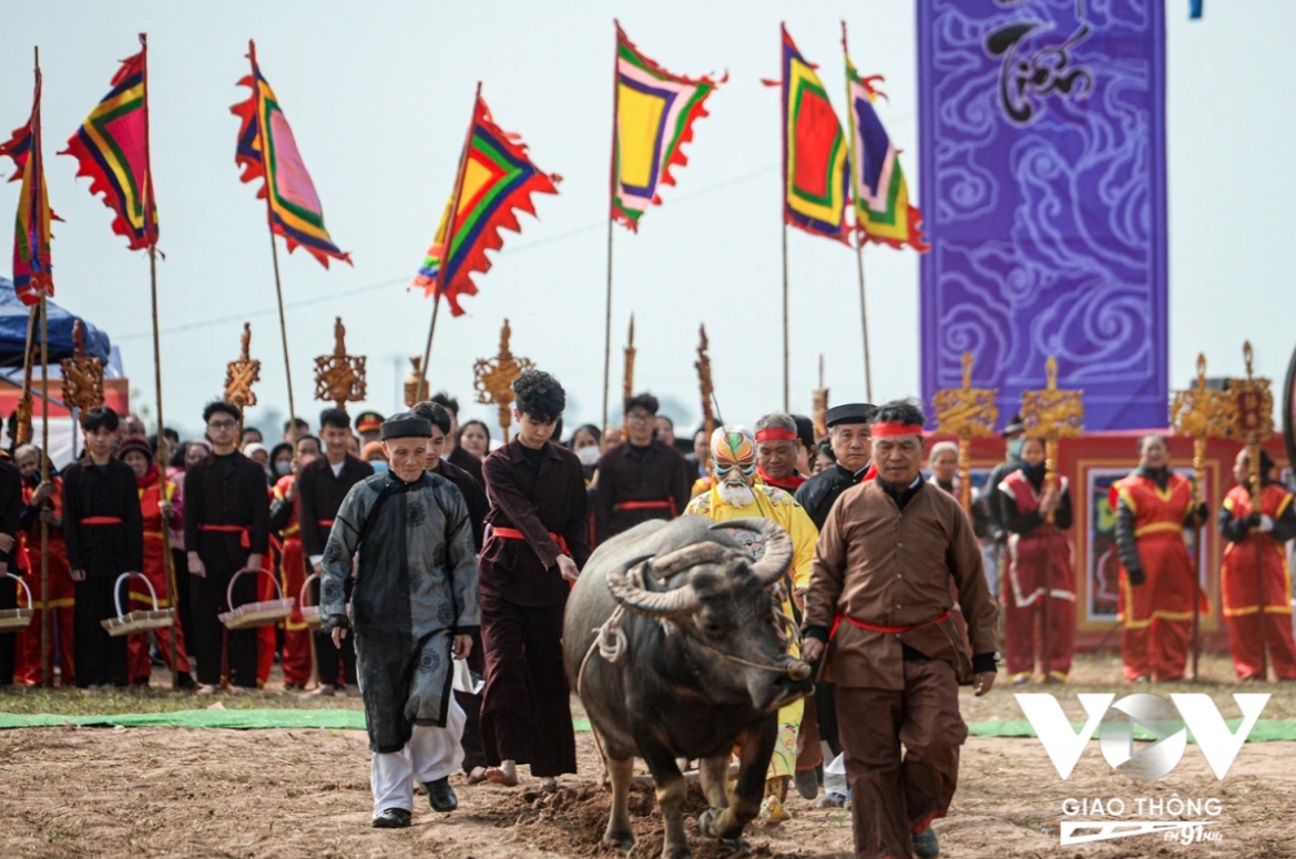 A respected elderly farmer, dressed in a royal robe of King Le Dai Hanh, descends to the field to plough.