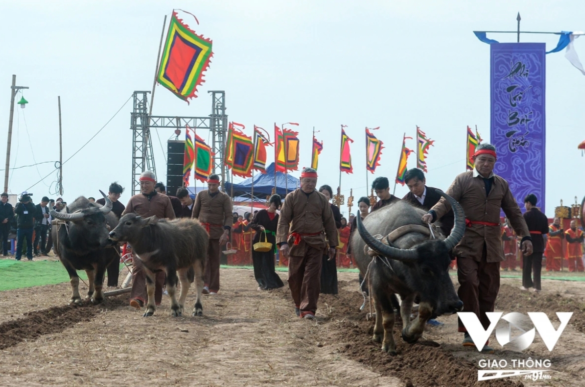 Farmers take part in the ploughing ritual at the event.