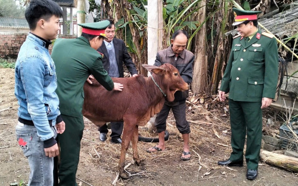 Trao bò sinh kế hỗ trợ gia đình khó khăn có thanh niên nhập ngũ