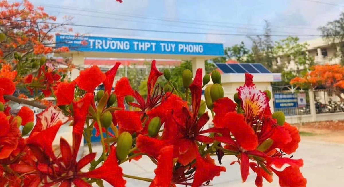 Trụ sở Trường THPT Tuy Phong. Ảnh: B.H