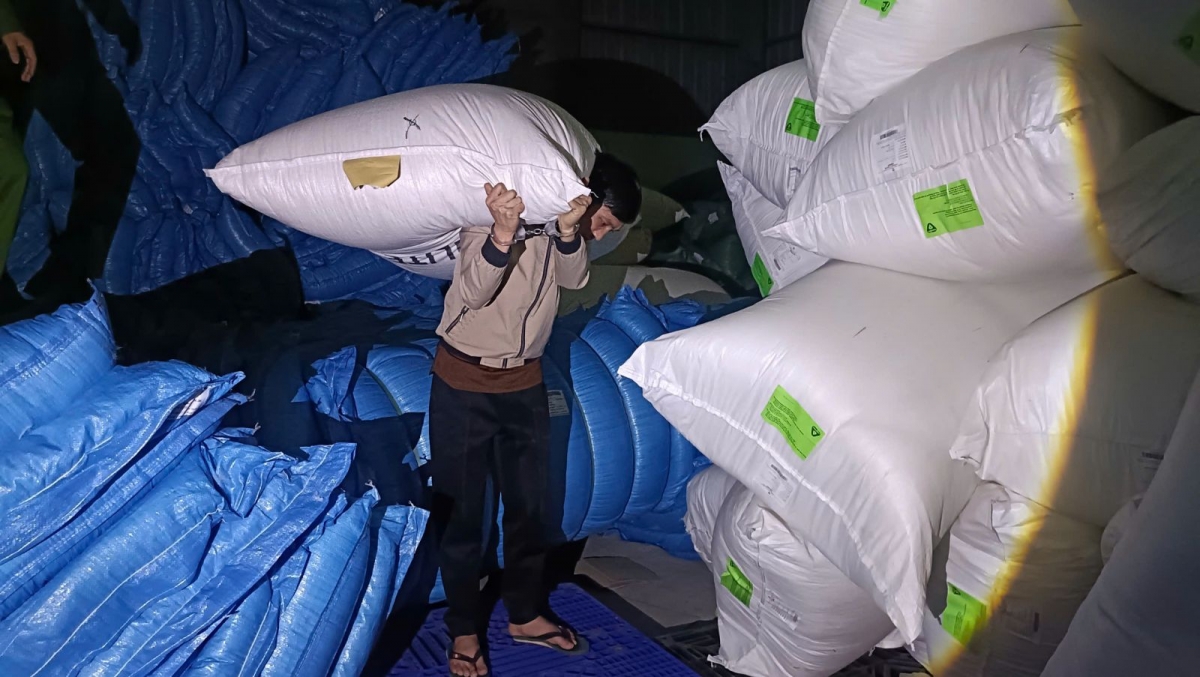 Các đối tượng thực nghiệm tại hiện trường