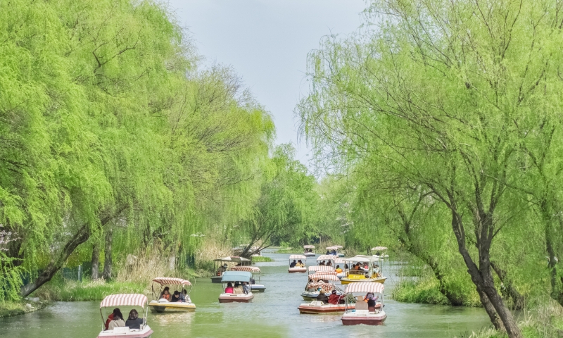 Ảnh minh họa. Nguồn: VCG