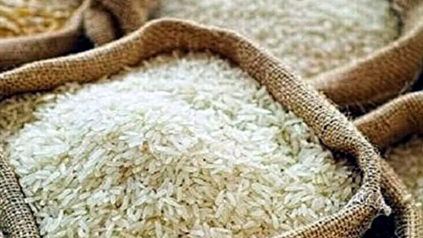 Thương nhân kinh doanh xuất khẩu gạo báo cáo Bộ Công Thương về lượng thóc, gạo thực tế tồn kho định kỳ hàng tuần