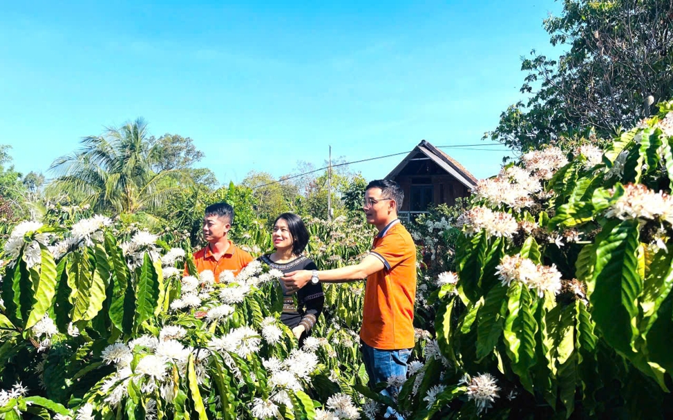 Nguồn vốn KienlongBank đồng hành cùng khách hàng làm kinh tế
