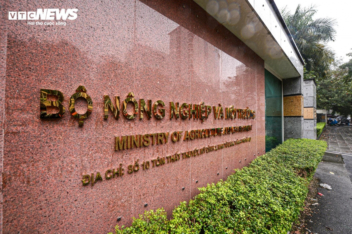 Bộ Nông nghiệp và Môi trường có trụ sở chính tại số 10 Tôn Thất Thuyết, quận Nam Từ Liêm, Hà Nội. Bộ có 30 đơn vị, trong đó có 26 đơn vị hành chính giúp Bộ trưởng thực hiện chức năng quản lý nhà nước. Bộ trưởng Bộ Nông nghiệp và Môi trường là ông Đỗ Đức Duy. Bộ có 10 Thứ trưởng gồm các ông, bà: Nguyễn Hoàng Hiệp, Phùng Đức Tiến, Trần Thanh Nam, Nguyễn Quốc Trị, Hoàng Trung, Võ Văn Hưng, Nguyễn Thị Phương Hoa, Trần Quý Kiên, Lê Công Thành, Lê Minh Ngân.