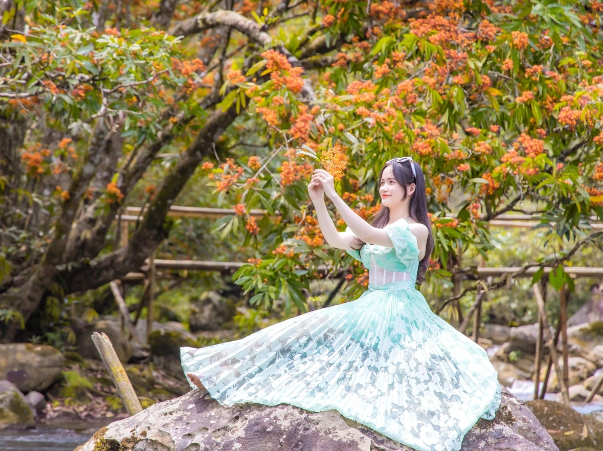 Giữa tháng 3 tiết trời se lạnh, thiếu nữ diện váy áo xinh tươi đến suối Moọc để chụp ảnh với nền hoa Vàng Anh đang nở rực