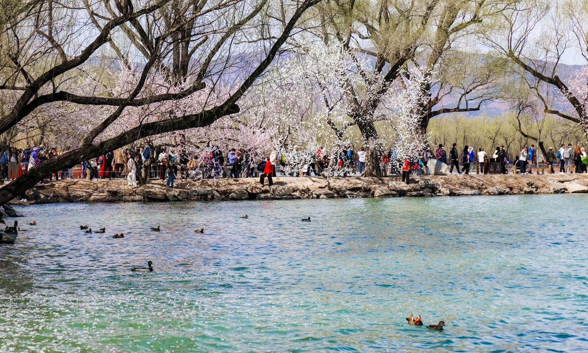 Du khách thưởng ngoạn hoa đào nở rộ ở Di Hòa Viên ngày 21/03. Ảnh: VCG