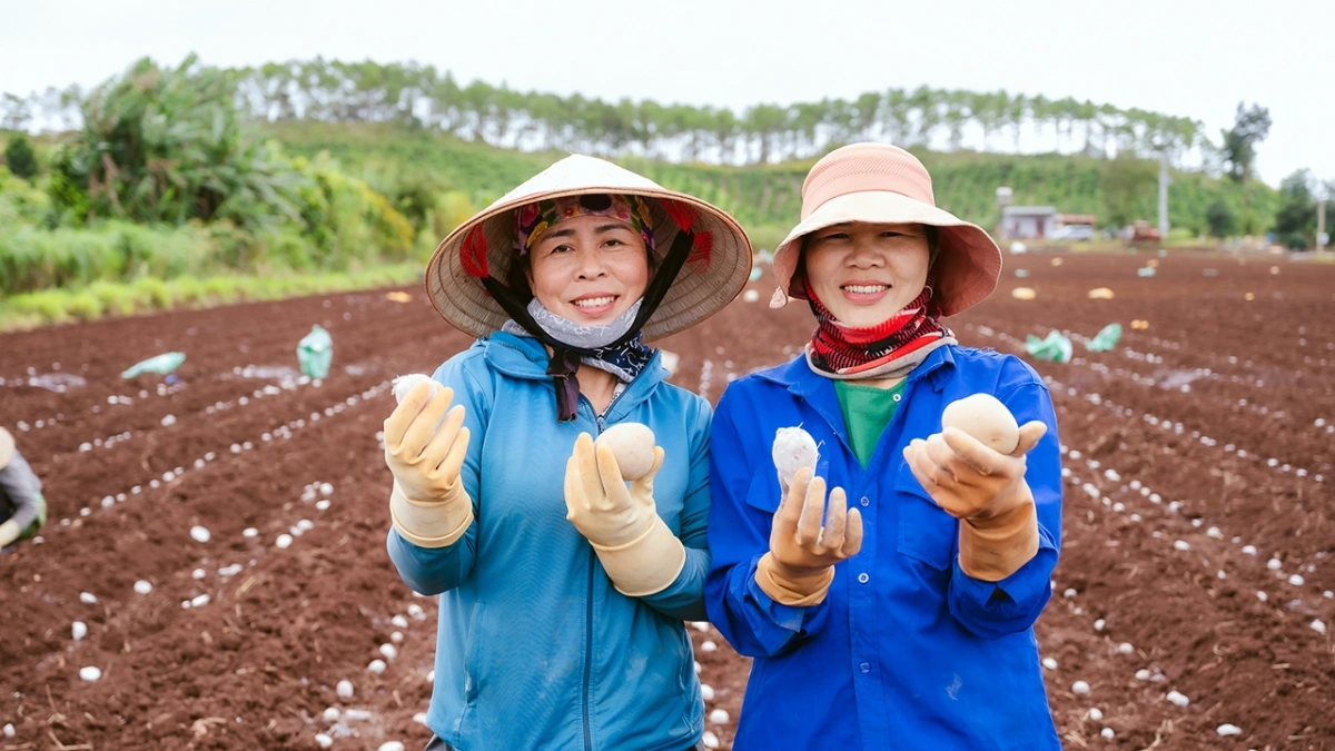 ‘Khoai tây quê hương’ là dự án Orion hợp tác cùng người nông dân và chính quyền địa phương nhằm phát triển nguồn nguyên liệu khoai tây bền vững tại Việt Nam