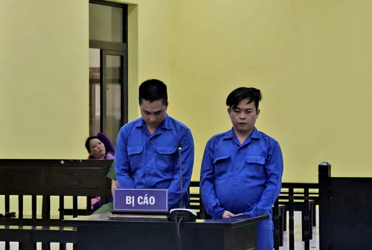 Bền và Ngàn tại Tòa