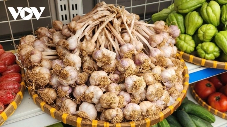 From freshly harvested garlic...