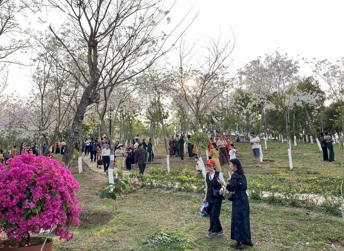Hoa ban phố núi Sơn La thu hút du khách gần xa.​​​