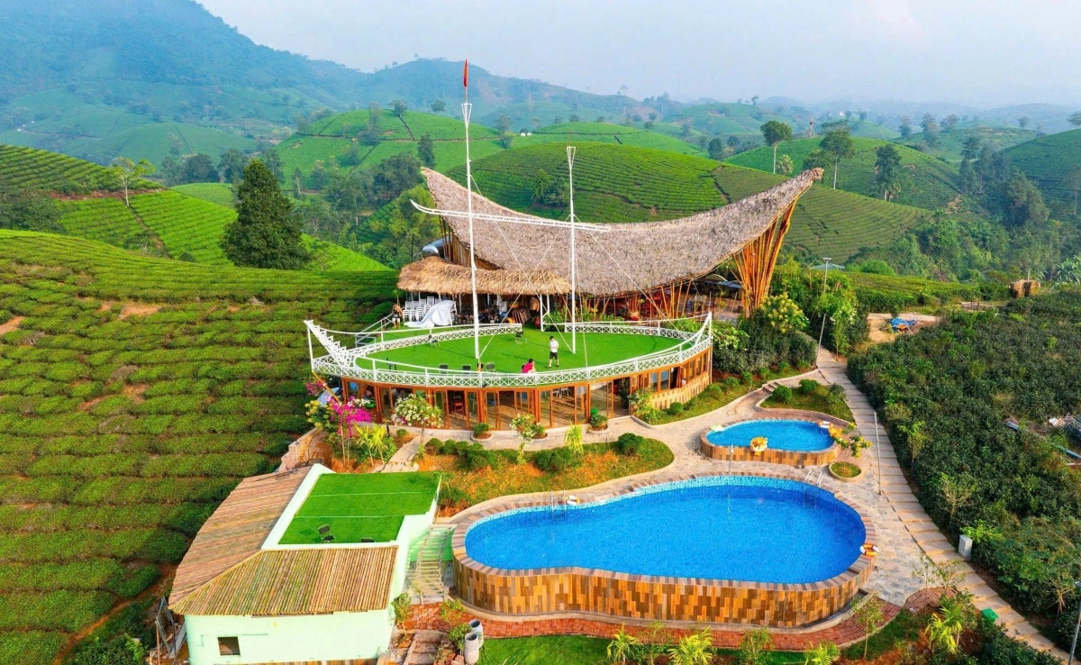Đồi chè Long Cốc tại Phú Thọ là điểm đến thu hút khách du lịch. Nguồn: Long Cốc Ecolodge