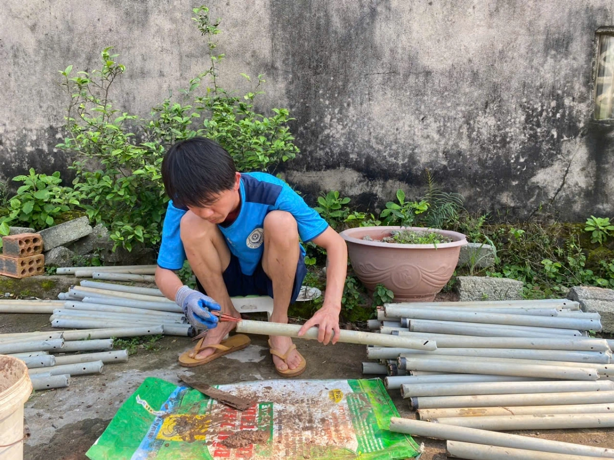 Từ đầu giờ chiều, những người làm nghề bẫy lươn sẽ băm nhỏ giun đất cho mồi vào ống bẫy
