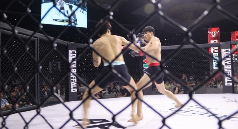 A match between Vietnamese fighter Quang Van Minh and RoK fighter Park Yeong Jun