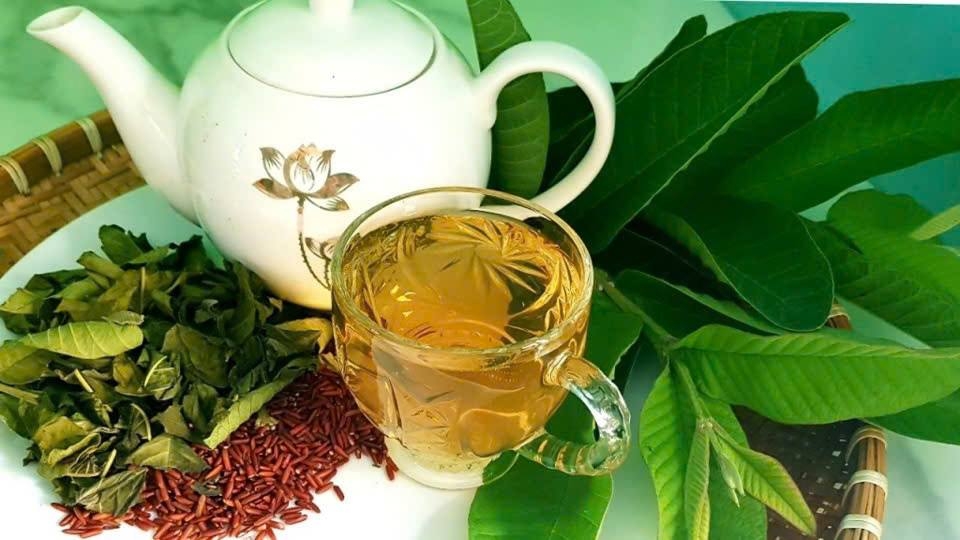 Nước lá ổi có uống được không là băn khoăn của rất nhiều người.