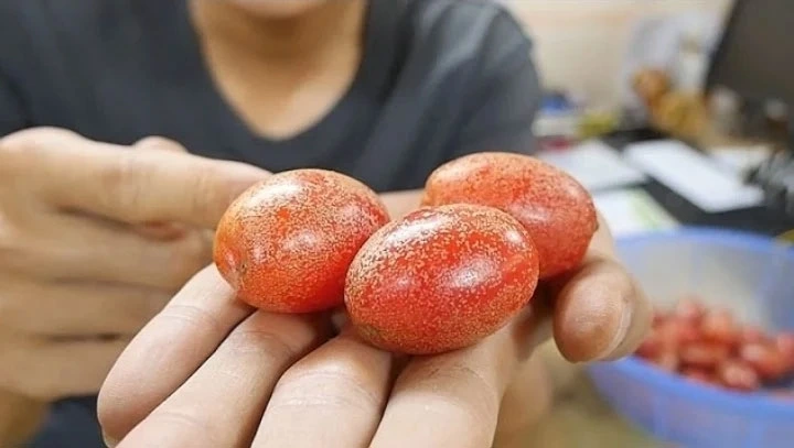 Quả nhót có vị chua, chát, tính bình, giúp thu liễm, trừ ho suyễn, cầm máu (Ảnh minh họa)