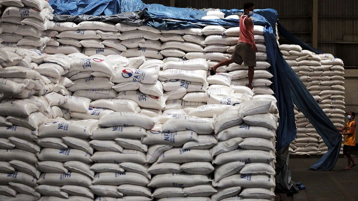 Nhập khẩu gạo của Philippines dự kiến giảm trong năm 2025 - Ảnh minh họa: Inquirer