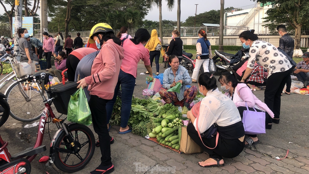 Công nhân chọn mua cá, thịt gà, trứng, rau xanh... vừa túi tiền lại đủ dinh dưỡng