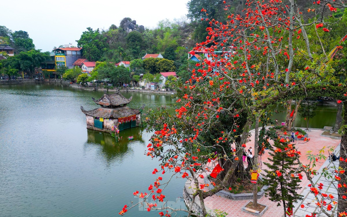 Hoa gạo nở rực trước thủy đình – một công trình kiến trúc độc đáo, biểu tượng tiêu biểu của chùa Thầy. Thủy đình này là nơi biểu diễn múa rối nước và vẫn được sử dụng trong các dịp lễ hội.