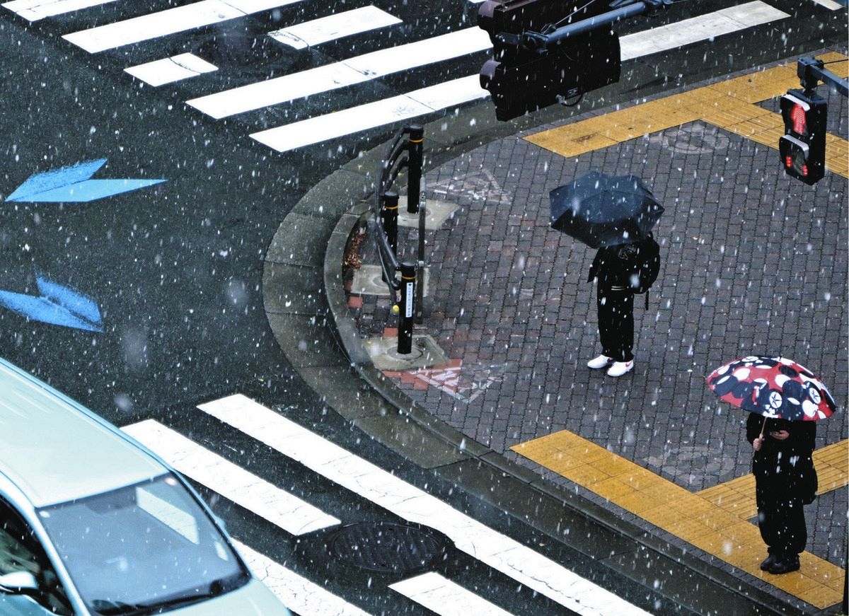 Tuyết bắt đầu rơi tại nhiều khu vực nội đô Tokyo. (Ảnh: Tokyo Shinbun)