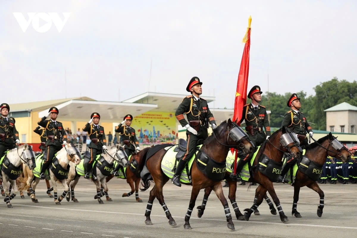Cavalry mobile police play an important role in maintaining order and security, protecting significant events, and ensuring safety in special situations, such as protecting key areas and locations, or assisting in crowd control during large public activities.