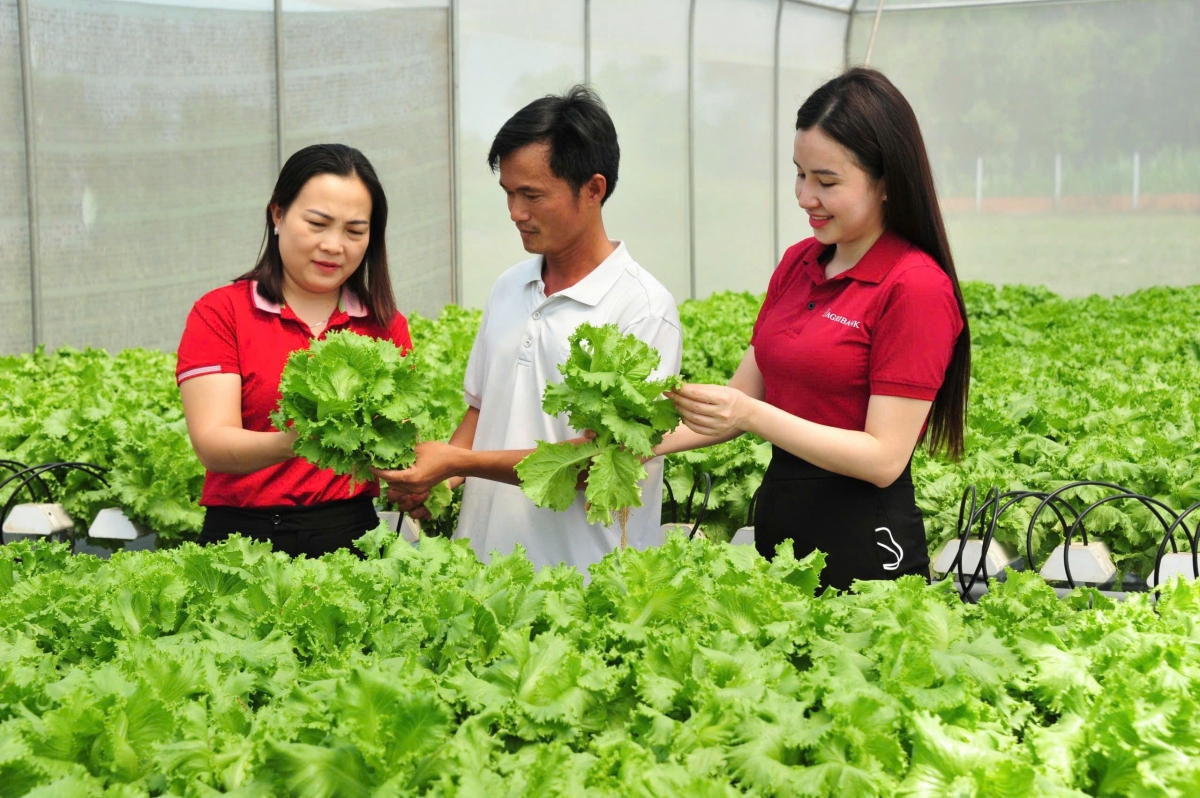 Xác định vai trò đặc biệt quan trọng của khách hàng đối tác, trong định hướng hoạt động, Agribank chú trọng tăng cường hợp tác cùng các doanh nghiệp trên nhiều lĩnh vực, phát huy tối đa tiềm năng và thế mạnh để cùng phát triển