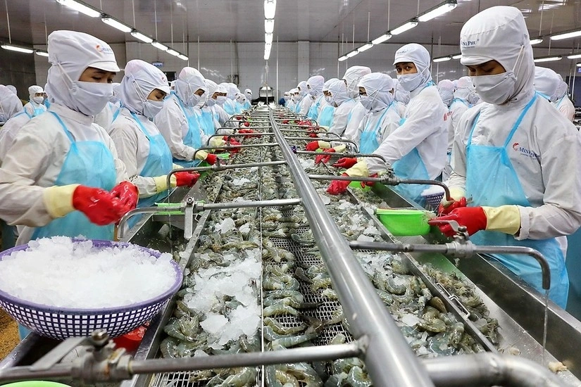 Hoa Kỳ hiện đang là thị trường xuất khẩu lớn của Việt Nam, chiếm tới 20% tổng xuất khẩu thủy sản của Việt Nam (Ảnh minh họa: KT)