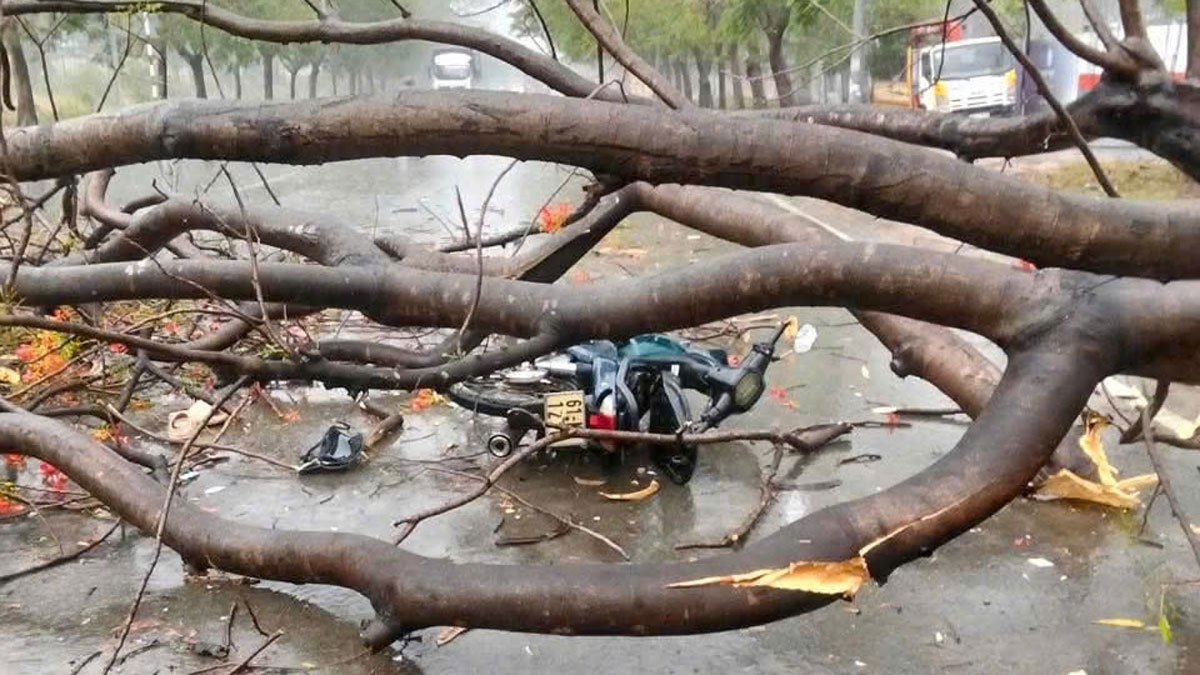 Hiện trường vụ việc