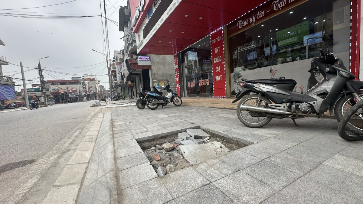 Theo đó, chặt hạ 130 cây xanh và trồng mới 159 cây long não. "Trồng lại hệ thống cây xanh ở điểm vỉa hè đảm bảo  khoảng 1,5m. Chúng tôi sẽ thay thế bằng các hệ thống cây long não và có độ thoát thân khoảng 3m. Cũng giữ lại một số cây phượng hoàng lửa. Không phải chúng tôi không trồng lại"- ông Hào nói.