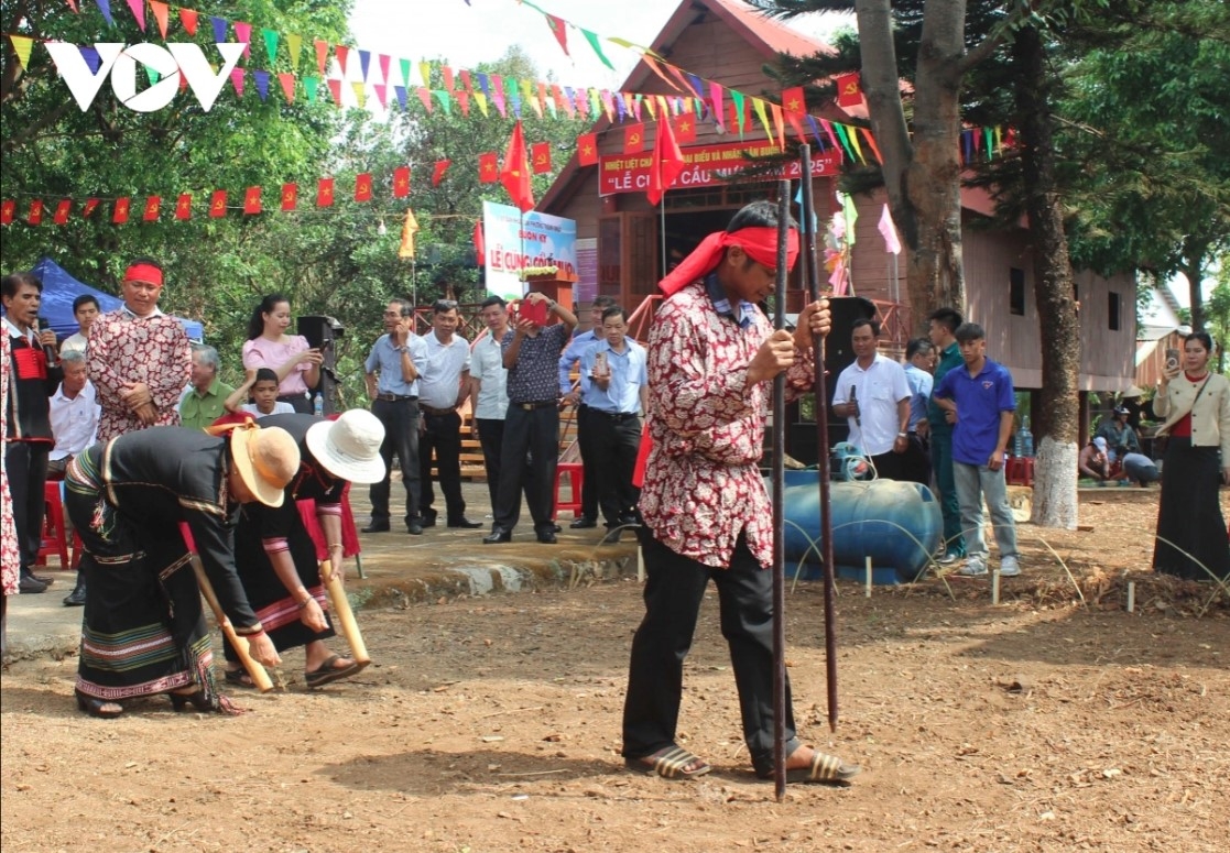 Then the shaman uses his feet to draw small squares on the ground representing the fields. He walks from square to square, holding a stick in each hand and poking holes in the ground. Ede women follow him, sowing seeds in the holes.