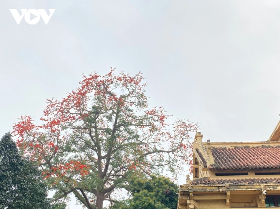 Each season of Hanoi has its own charm due to the trees that are planted around the city.