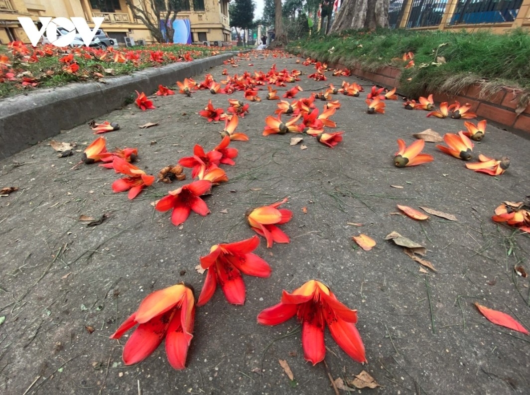 It’s said that when flowers begin to fall, it’s time to put away the warm blankets.