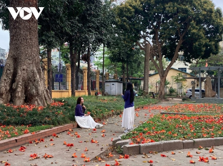 When the warm spring sunshine begins to light the streets, that is also the time when fresh flowers bloom brilliantly in all parts of Hanoi.