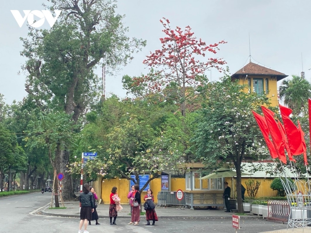 The capital boasts a new coat in March with bombax ceiba trees.