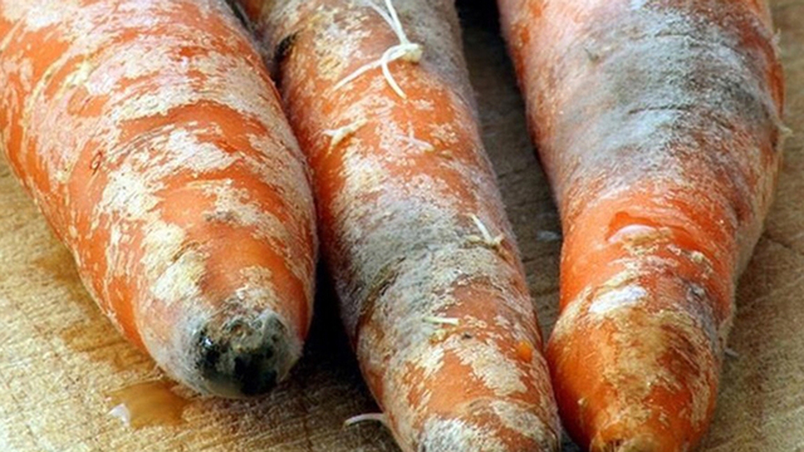 Thực phẩm mốc, thối dù chỉ một phần cũng phải bỏ đi