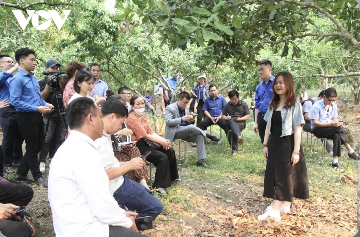 Hàng nghìn người dân ở Sơn La đã được tập huấn, hướng dẫn cách livestream bán hàng trên các sàn thương mại điện tử