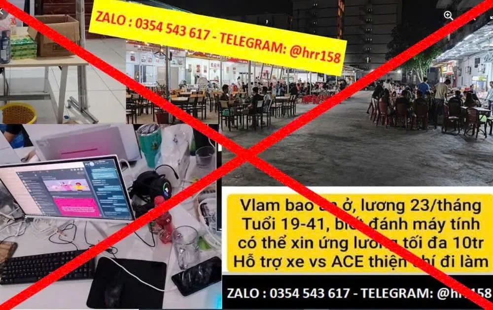 Công an Hải Phòng khuyến cáo người dân cần cảnh giác với lời mời "việc nhẹ lương cao".