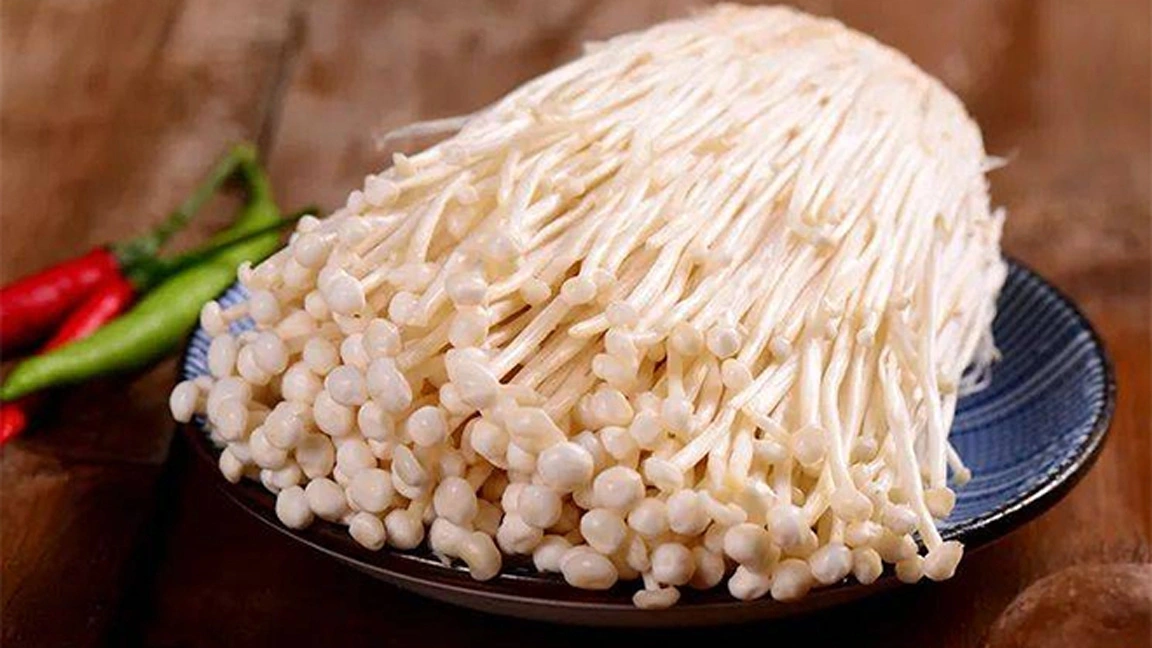 Nấm kim châm an toàn thường có màu sắc vàng nhạt, không có mùi. (Ảnh: Aboluowang)