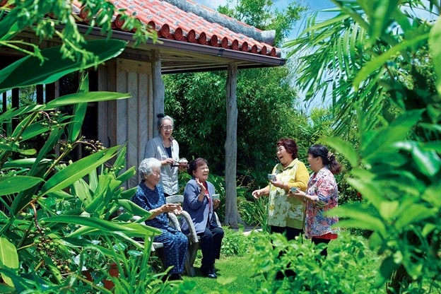 Làng Ogimi là ngôi làng trường thọ top đâu thế giới. Ảnh: Official Okinawa Travel Guide
