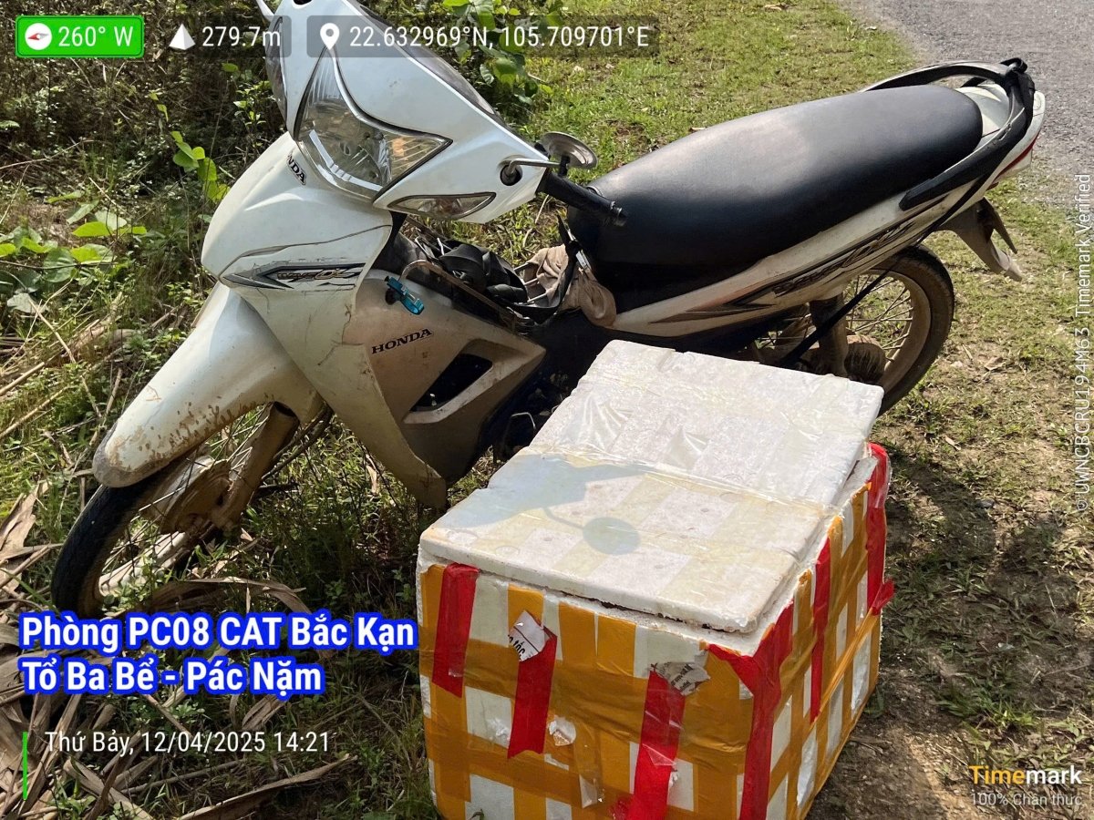 Phương tiện và thùng chở rắn trái phép của Hoàng Văn Tu khi bị phát hiện, bắt giữ. (Ảnh: CACC)
